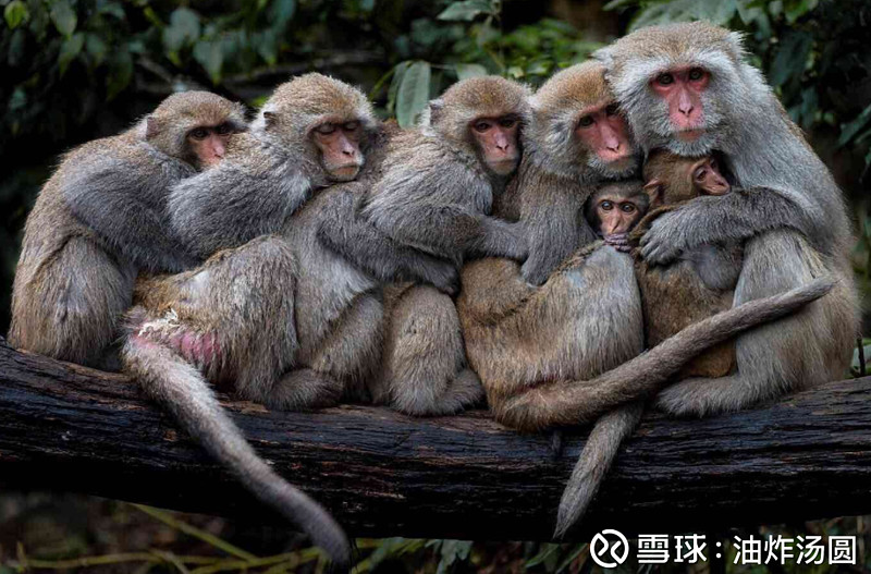 足总杯今夜走向成谜,纽约尼克斯强势反弹,态度坚定,高层口径保持一致(奥特曼主题曲歌词奇迹出现) 足总杯今夜走向成谜,纽约尼克斯强势反弹,态度坚定,高层口径保持一致(奥特曼主题曲歌词奇迹出现)